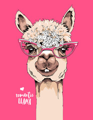 Funny poster. Alpaca in a glasses and with a chamomile flowers on a pink background. Romantic llama - lettering quote. Humor card, t-shirt composition, hand drawn style print. Vector illustration.
