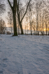 Freeze landscape of the forest during the sunset. Trees are highlighted by the sunlight.