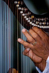 Vertical shot of a hand playing the harp
