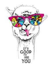 Funny poster. Portrait of a Llama in a rainbow glasses. It's good to see you - lettering quote. Humor card, t-shirt composition, hand drawn style print. Vector illustration.