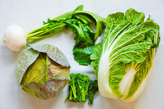 1 195 最適な 淡色野菜 画像 ストック写真 ベクター Adobe Stock