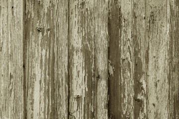 Old wooden texture for the background.  Natural pattern for design. Close up. Copy space.