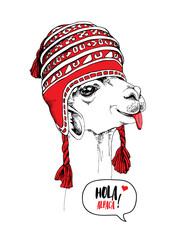 Funny poster. Portrait of Llama in a red knitted Chullo Hat. Hola alpaca! - lettering quote. Humor card, t-shirt composition, hand drawn style print. Vector illustration.