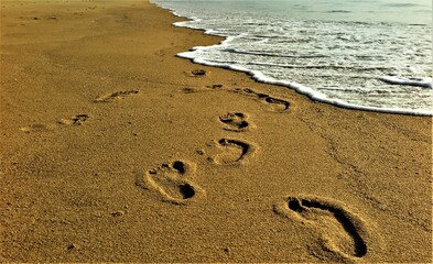 footprints on the beach