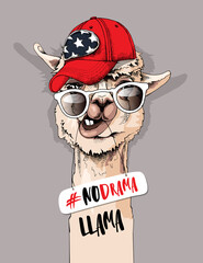 Funny poster. Portrait of Llama in a hipster cap, sunglasses and with a chamomile flower. No prob llama - lettering quote. Humor card, t-shirt composition, hand drawn style print. Vector illustration.