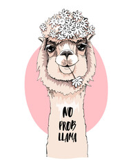 Funny poster. Portrait of Llama with a chamomile flowers. No probllama - lettering quote. Humor card, t-shirt composition, hand drawn style print. Vector illustration.