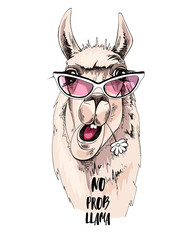Funny poster. Portrait of Llama in a pink sunglasses and with a chamomile flower. No probllama - lettering quote. Humor card, t-shirt composition, hand drawn style print. Vector illustration. © Afishka