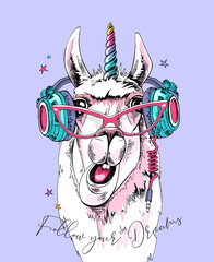 Fun Llama in a pink glasses, with a rainbow unicorn horn and in a headphones. Follow your dreams - lettering quote. Humor card, t-shirt composition, hand drawn style print. Vector illustration.