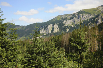 Tatra Mountains near Zakopane. Poland