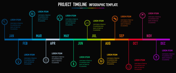 Project Timeline & Milestones Infographics, 12 months plan	