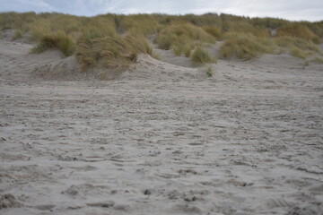 Strandpromenade in Belgien