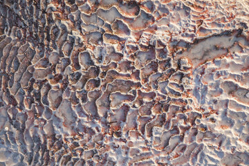 Wavy horizontal background with the texture of travertine's surface (red mineral scratchy lines over the white calcium like the shell or sponge).