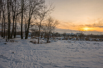 Freeze landscape of the forest during the sunset. Trees are highlighted by the sunlight.