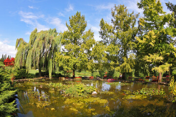 The pond, weeping willows and flower beds
