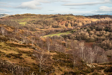 Majestic Winter landscape image view from Holme Fell in Lake District towards snow capped mountain ranges in distance in glorious evening light with Autumnal colors trees