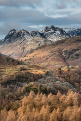 Majestic Winter landscape image view from Holme Fell in Lake District towards snow capped mountain ranges in distance in glorious evening light with Autumnal colors trees