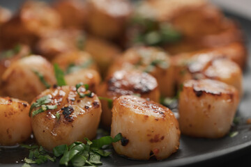 Seared scallops on black plate closeup