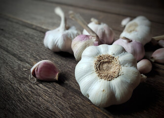 garlic