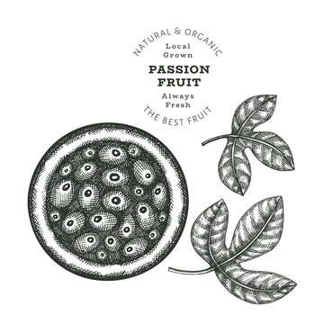 Hand drawn sketch style passion fruit. Organic fresh food vector illustration isolated on white background. Retro exotic fruit illustration. Engraved style botanical picture.