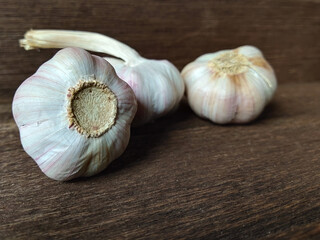 garlic