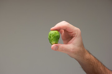 Caucasian male hand holding a brussels sprout between fingers isolated on gray background