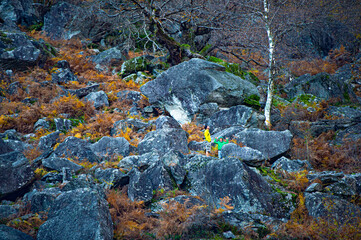 Panorama autunnale nella Svizzera Italiana