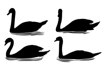 Isolated swan silhouettes. Vector eps.