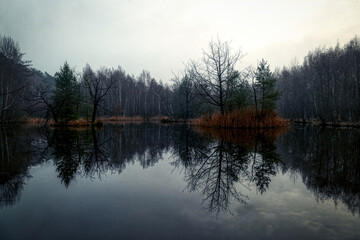 Fototapeta na wymiar Stiller See in der Ohligser Heide im Winter