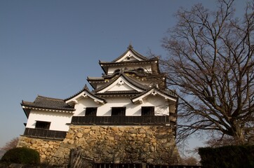 Fototapeta premium 彦根城