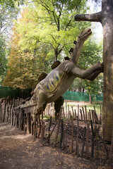 Wuerhosaurus © Aleksandr