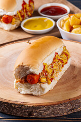 .Brazilian style hot dog, with mustard, ketchup and potato straw
