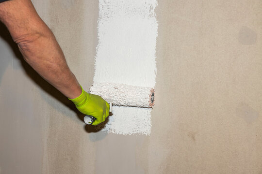 Close up view of male worker carrying out painting work. Construction concept.