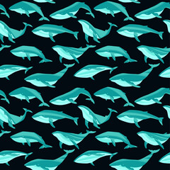 Repeated texture with hand drawn marine mammals: blue whale, white whale and sperm whale.