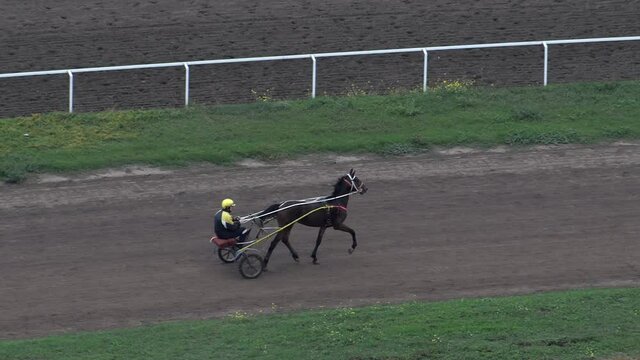 jockey driving a black horse