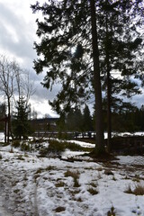 Naturfotografie im Harz um Oderteich