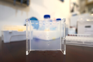Agarose gel in a molecular biology scientific research and testing laboratory with blurred background; biotechnology lab showcasing upright agarose gel