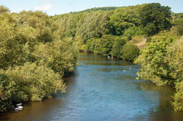 Fototapeta premium River Wye in the summertime