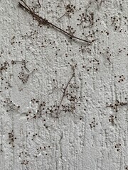 old texture