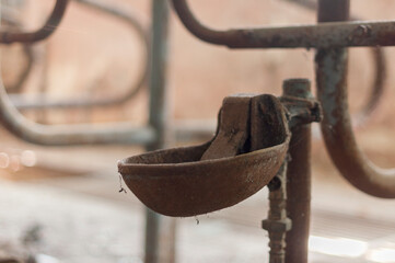 Abandoned farm - Urbex 