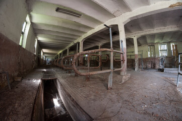 Abandoned farm - Urbex 