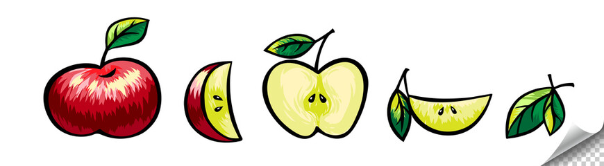 A set of apples drawn by hand in a cartoon style or in the style of oil paints. A whole apple with a leaf, half an apple with a leaf, a slice of an apple with a leaf, apple leaves. 