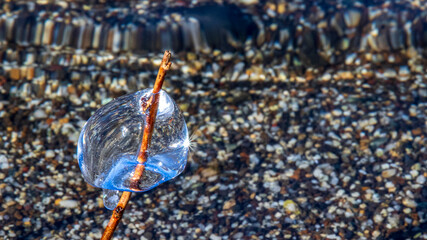 飛沫氷　山中湖
