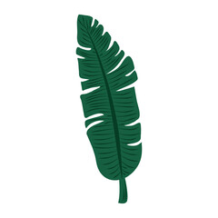 tropical leaf foliage plant abstract style icon