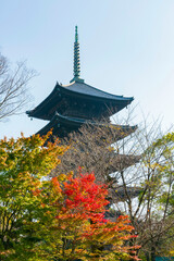 Naklejka premium 【京都府】東寺 五重塔