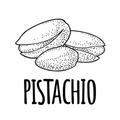 Pistachio nut with and without shell. Vector engraving color vintage illustration