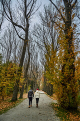 Fototapeta premium couple walking in the woods