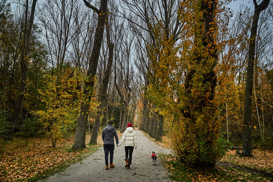 couple walking in the woods with dog