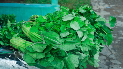 a few bunches of collard green leaves
