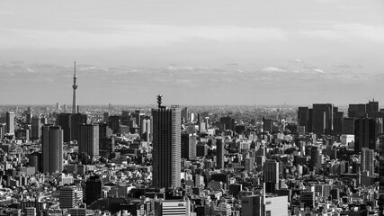 Naklejka premium 東京 都市風景 モノクロ