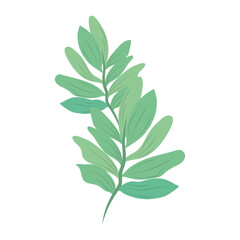 branch leaves nature foliage isolated icon vector